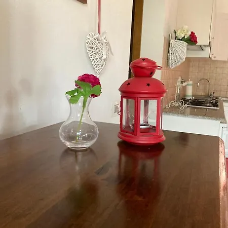 The Romantic House